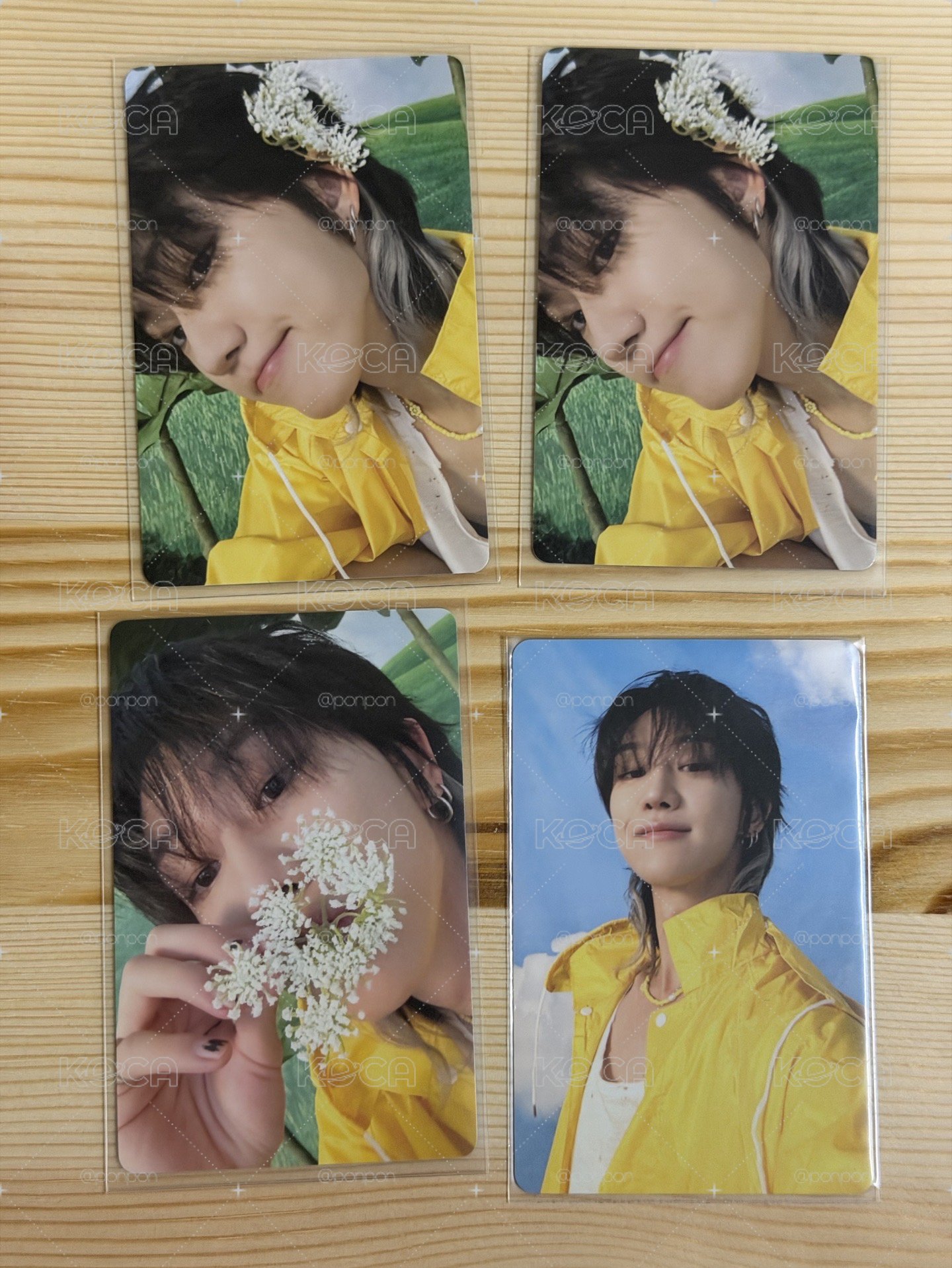 MINI11 專輯卡 CARAT ver. 小八