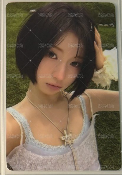 紗