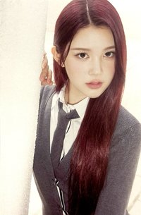 Focus 明信片 PB ver.