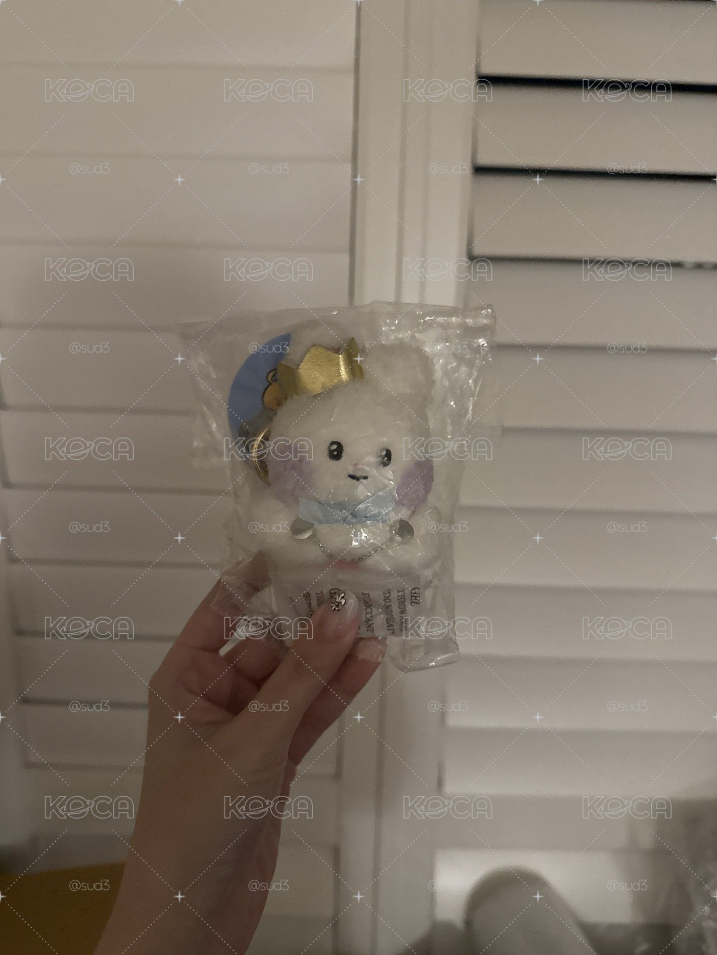 王子辰