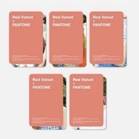 PANTONE聯名 護照夾卡