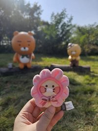 麻紗厚在韓國隨心所欲