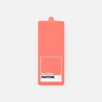 PANTONE 行李吊牌 