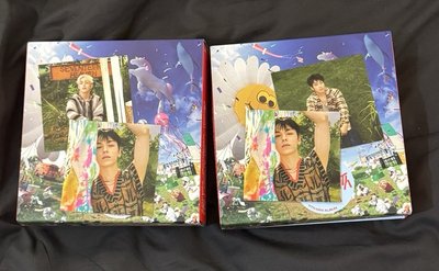 空專們➿消費期限克拉盤 油彩盤勳俊 親愛盤勳 mini12 正三綠版 kit