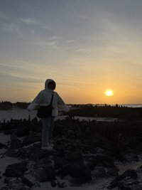 慈慈