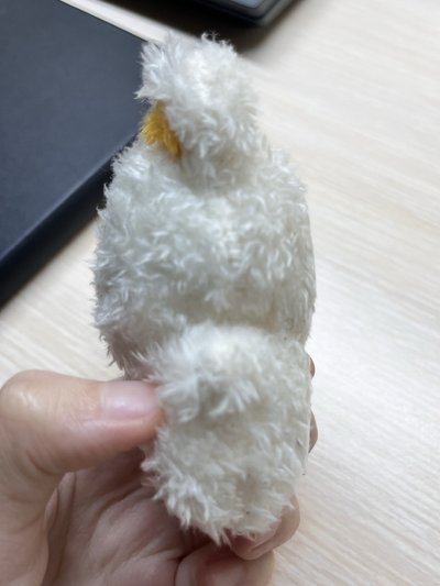 劉昇彥-豆豆眼娃