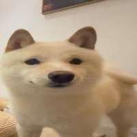 不知道 我的身材很曼妙