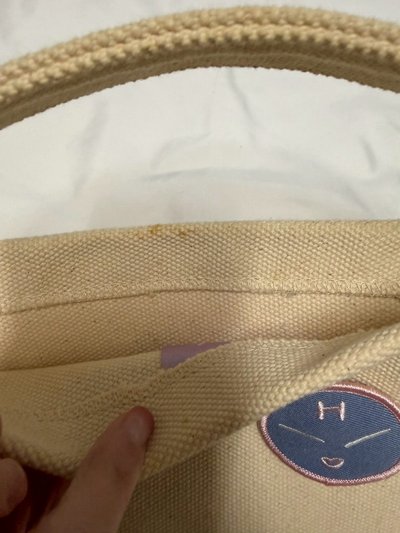 Hoshi 日本見面會水桶包+順鯛