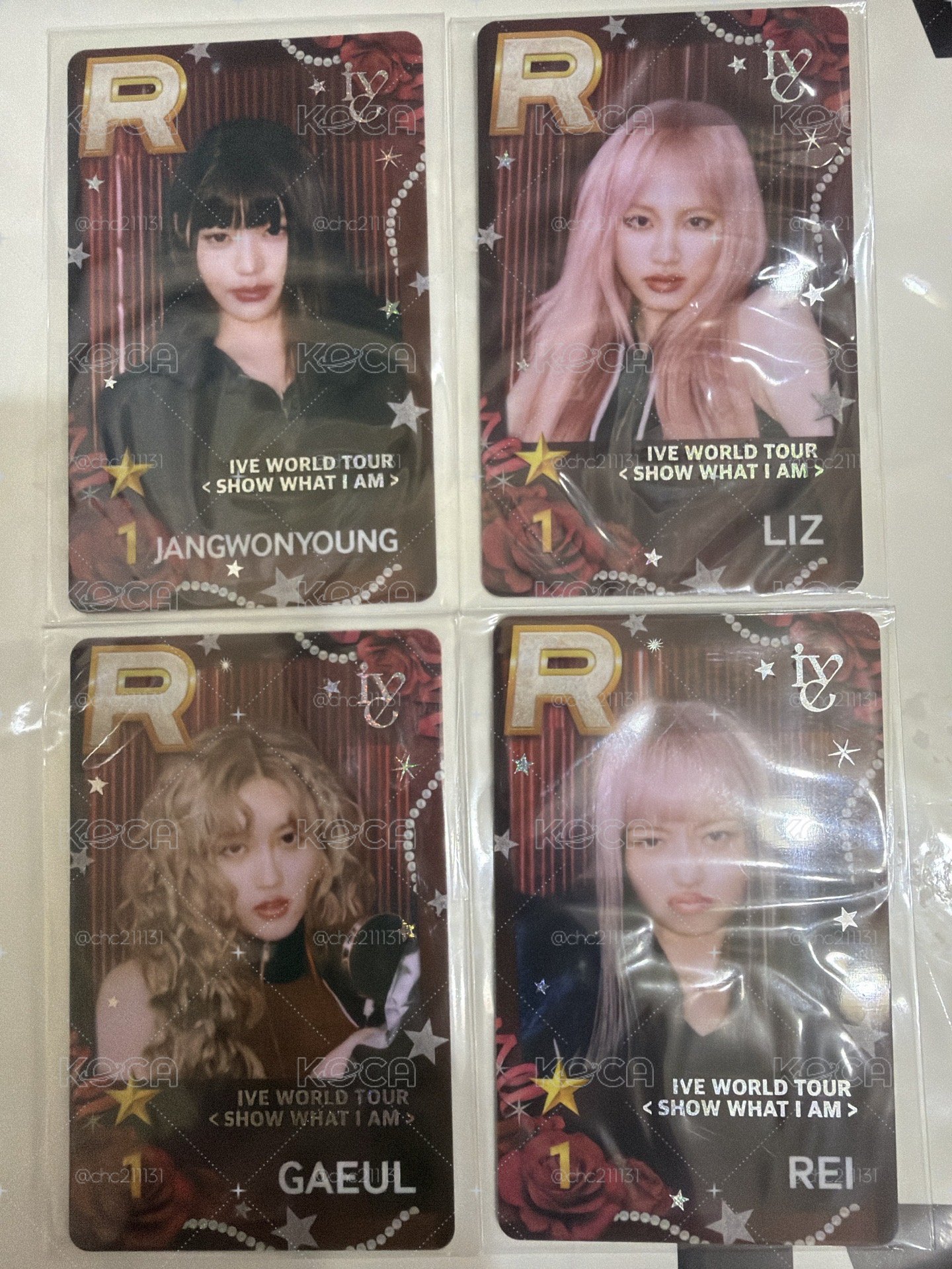 SWIA 遊戲卡 秋怜員栗