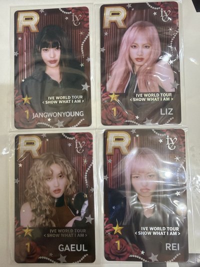 SWIA 遊戲卡 秋怜員栗