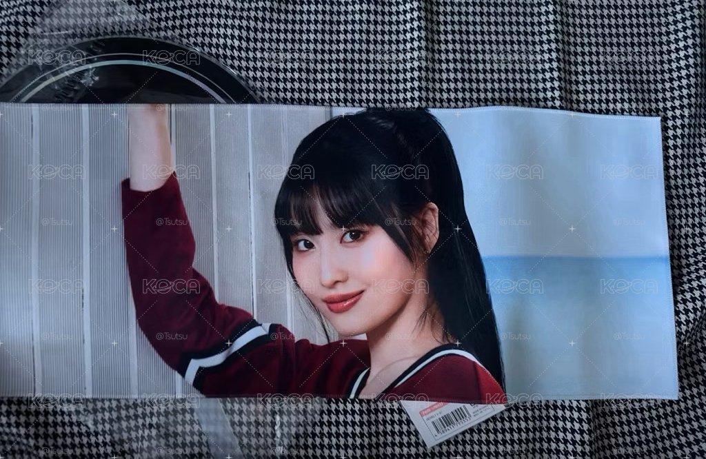 （整圖出 紙箱寄出）twice momo 手幅 大扇 lovelys 