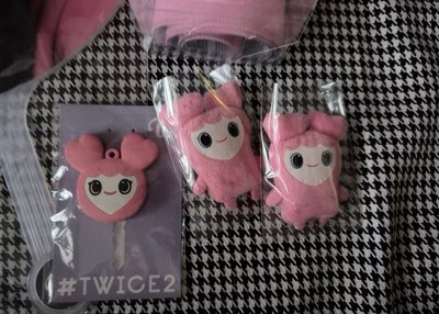 （整圖出 紙箱寄出）twice momo 手幅 大扇 lovelys 