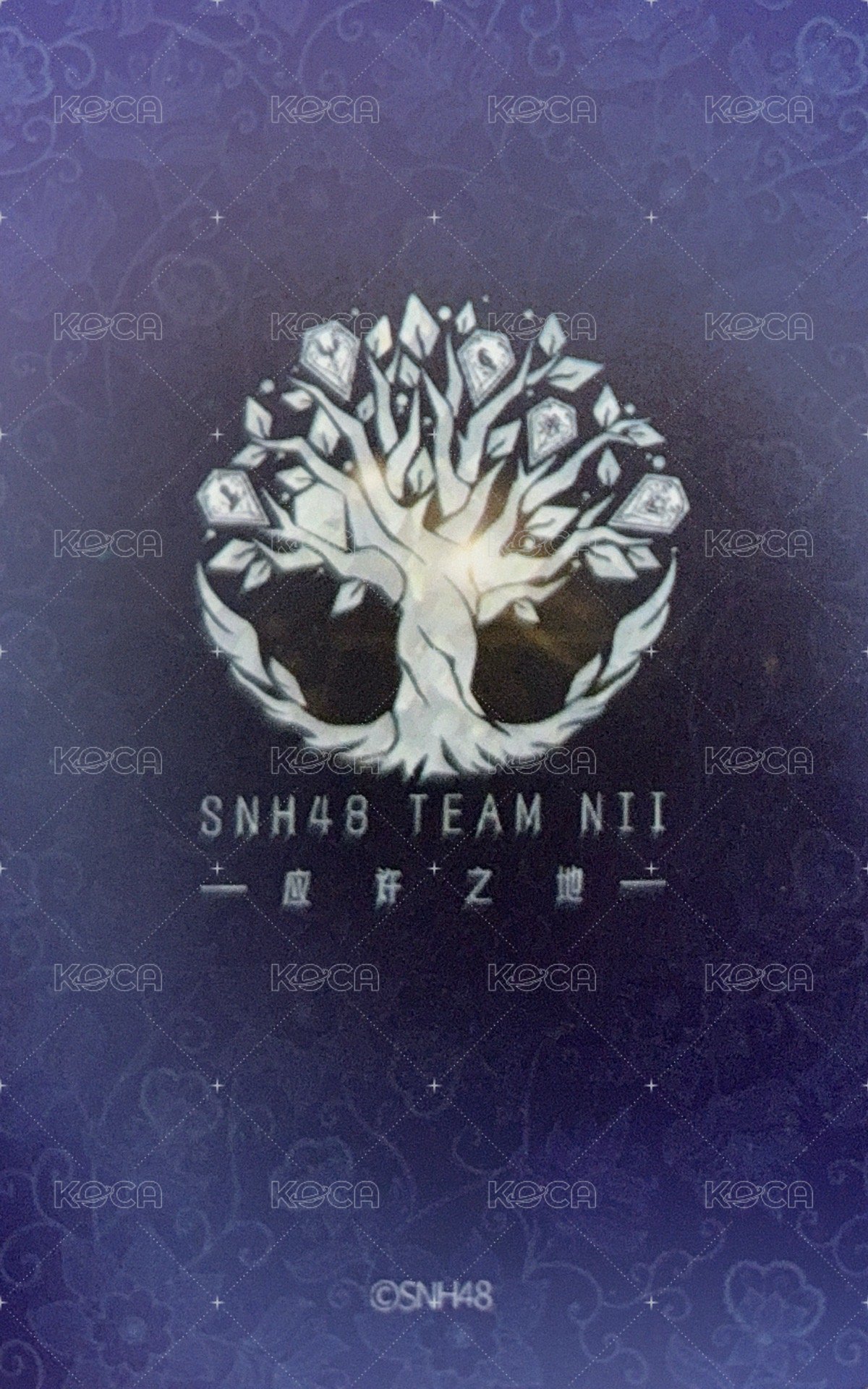 Team NII 應許之地 隨機卡  背面