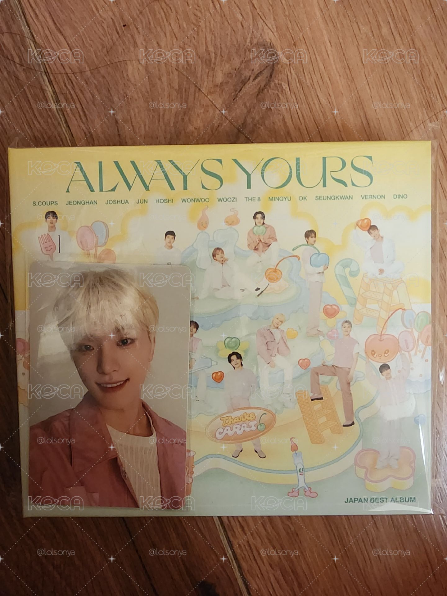 SEVENTEEN ALWAYS YOURS C盤 李燦全專
