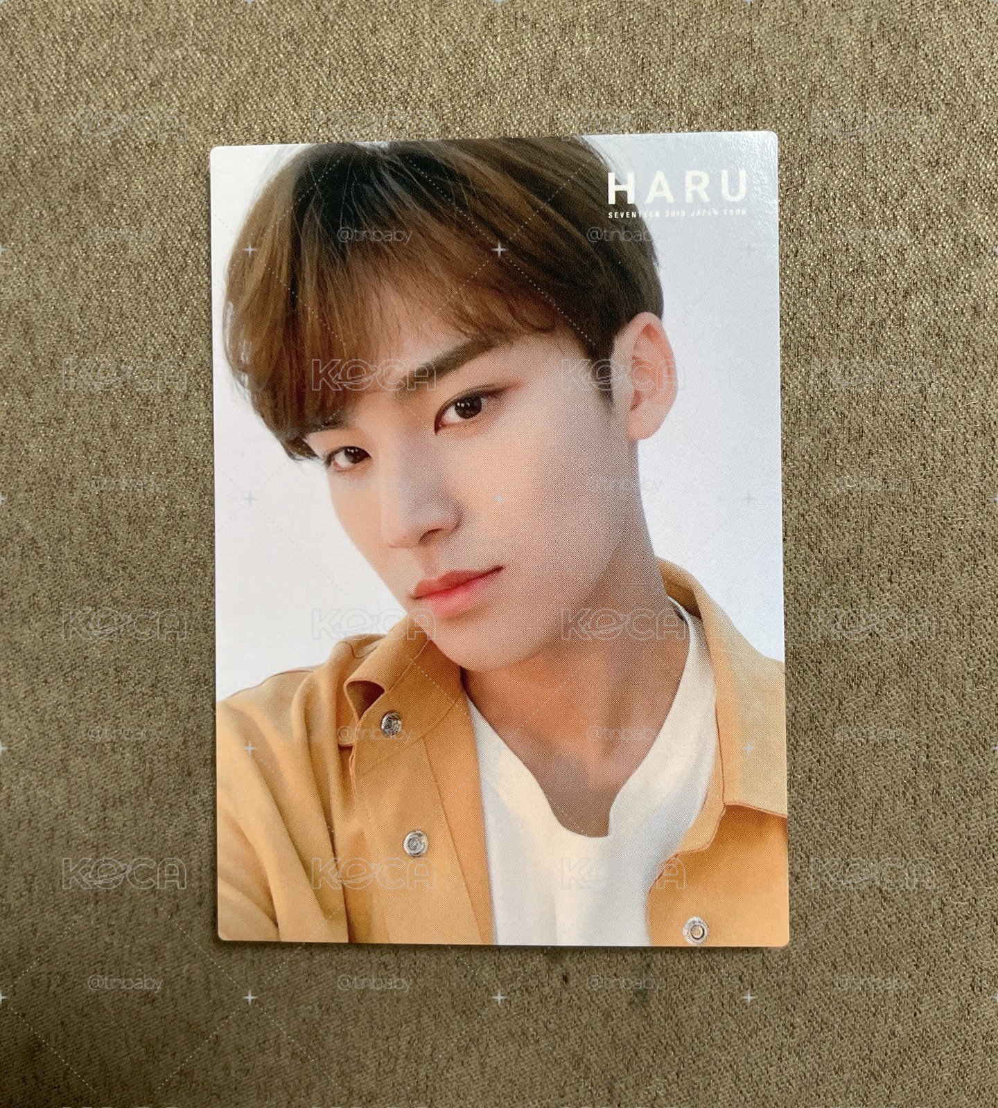 seventeen 2019珉奎日巡小卡071