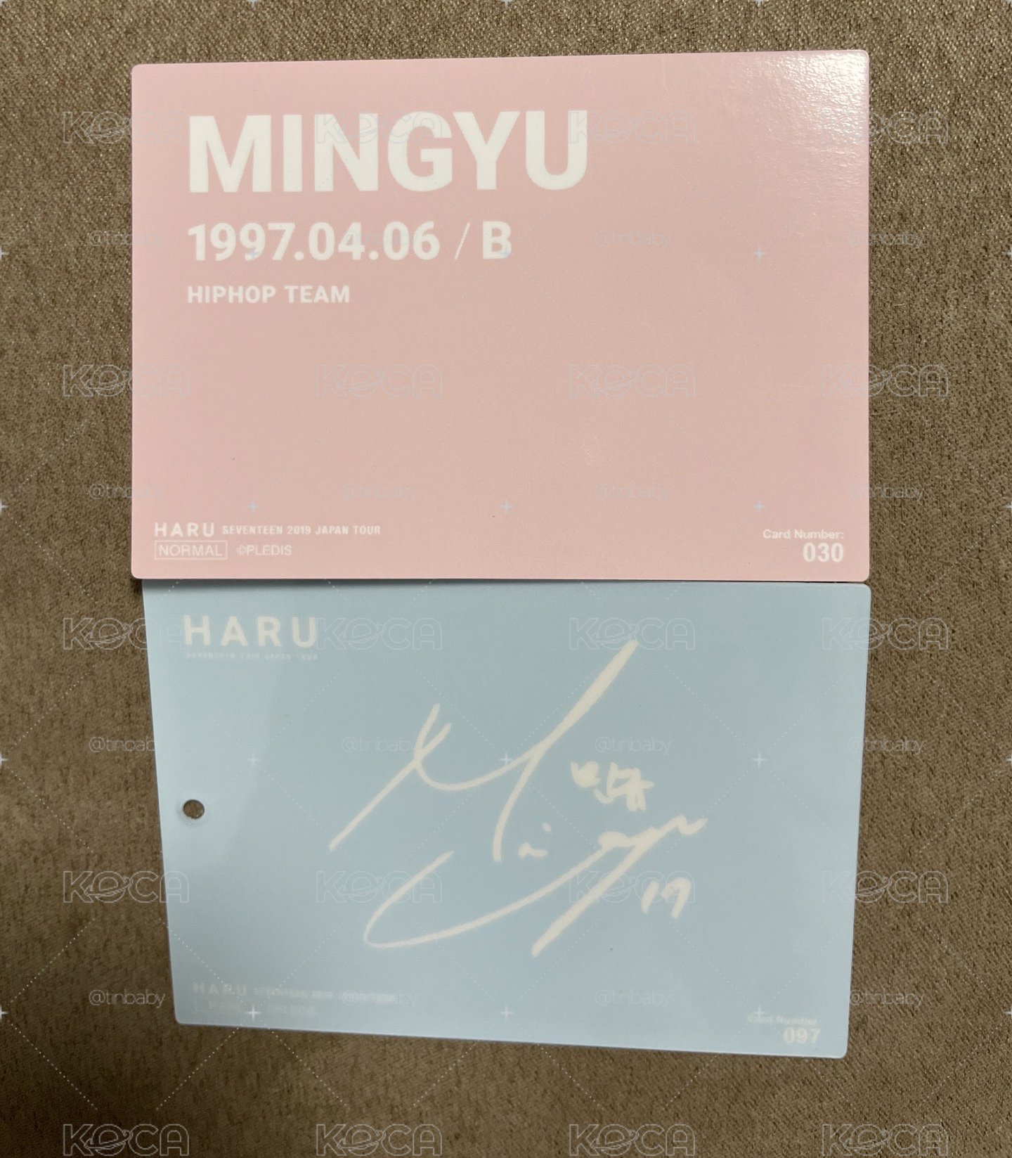 seventeen 2019珉奎日巡小卡