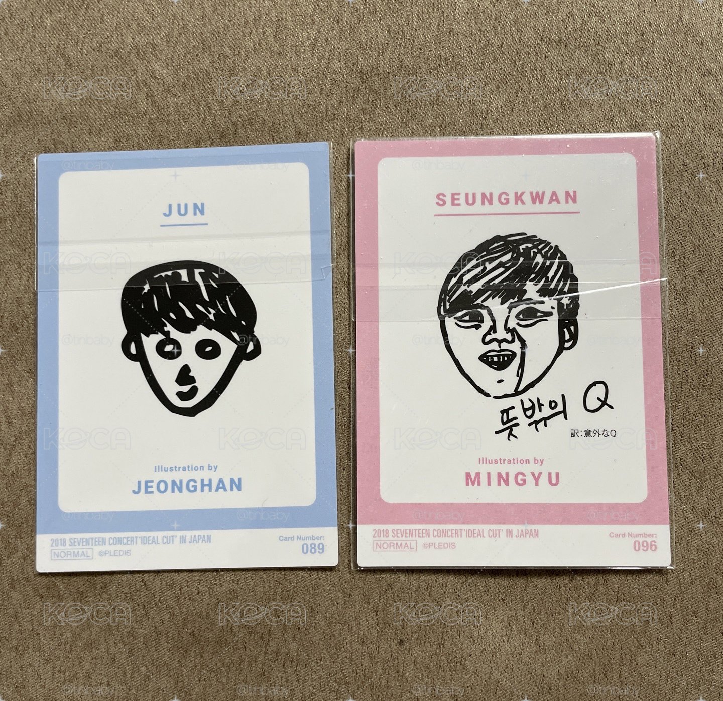 seventeen 2018珉奎淨漢日巡小卡