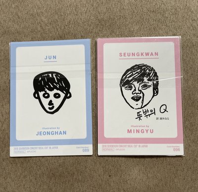 seventeen 2018珉奎淨漢日巡小卡