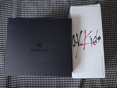 （現貨兩支一起出 可當日寄出）straykids the boyz 一代手燈 應援棒