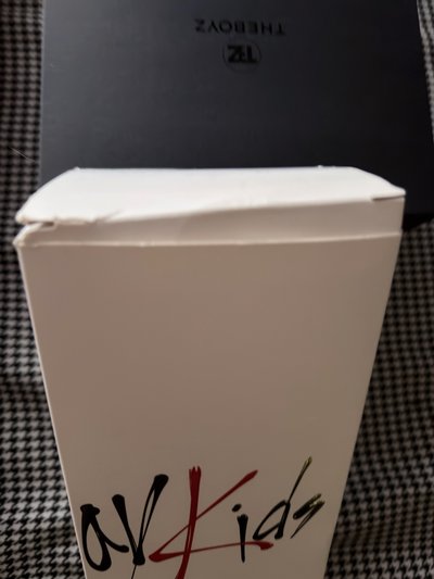 （現貨兩支一起出 可當日寄出）straykids the boyz 一代手燈 應援棒