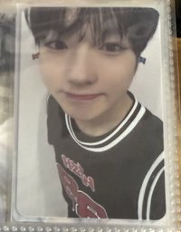 steady qr專卡Sakuya