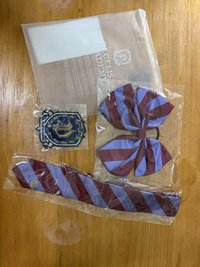 暗月特別專 別針襟章 