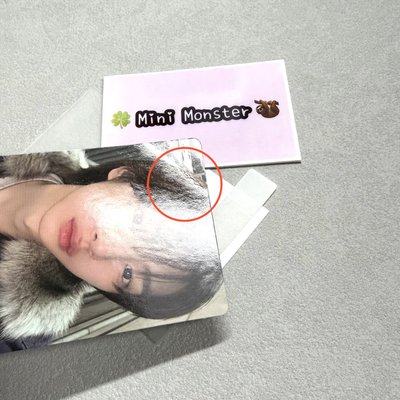 🍀Mini Monster🦥 wvs年末特典 訓（廠損）