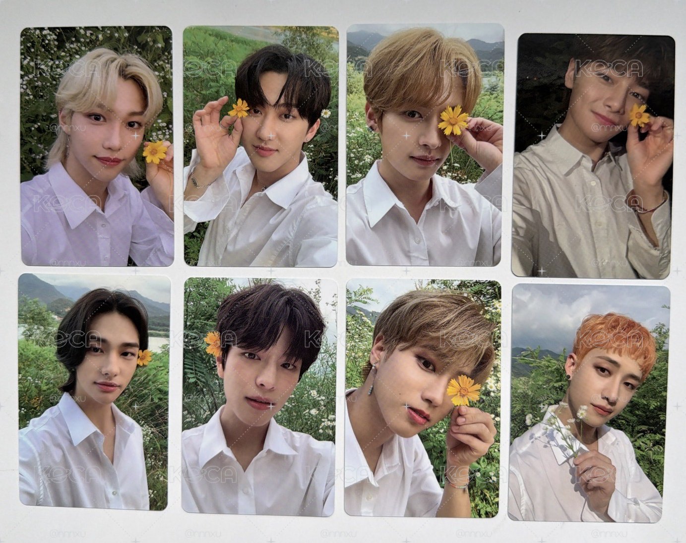 Stray Kids Noeasy 專輯 小卡