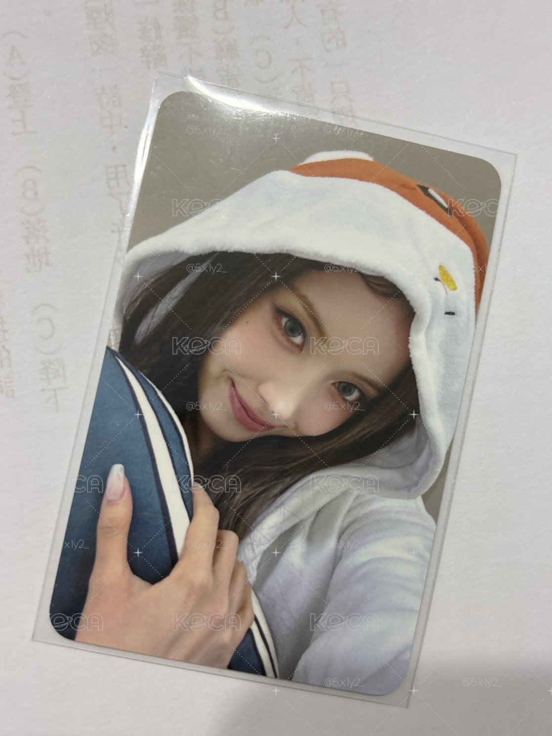 SW倉鼠友