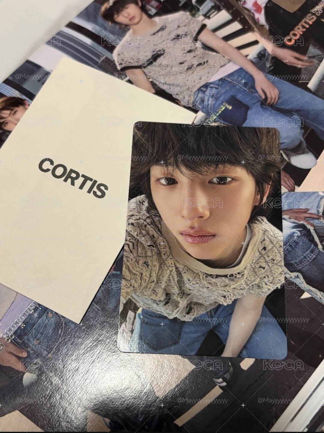 已拆專S2-CORTIS-金主訓