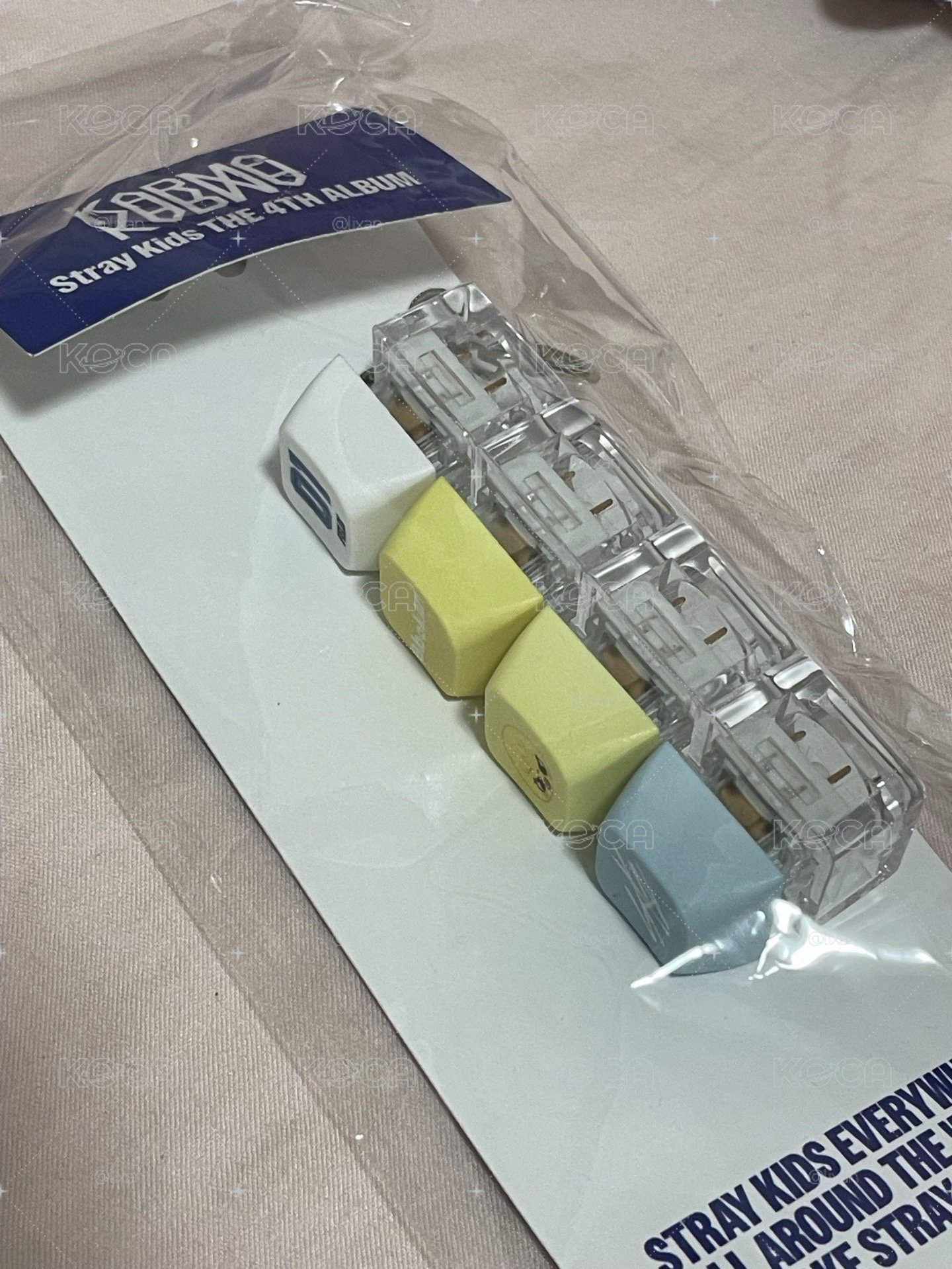 菲鍵帽