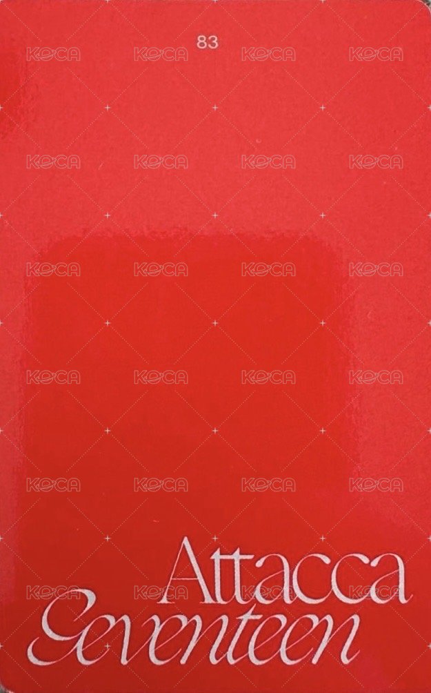 MINI9 target 特典卡  背面