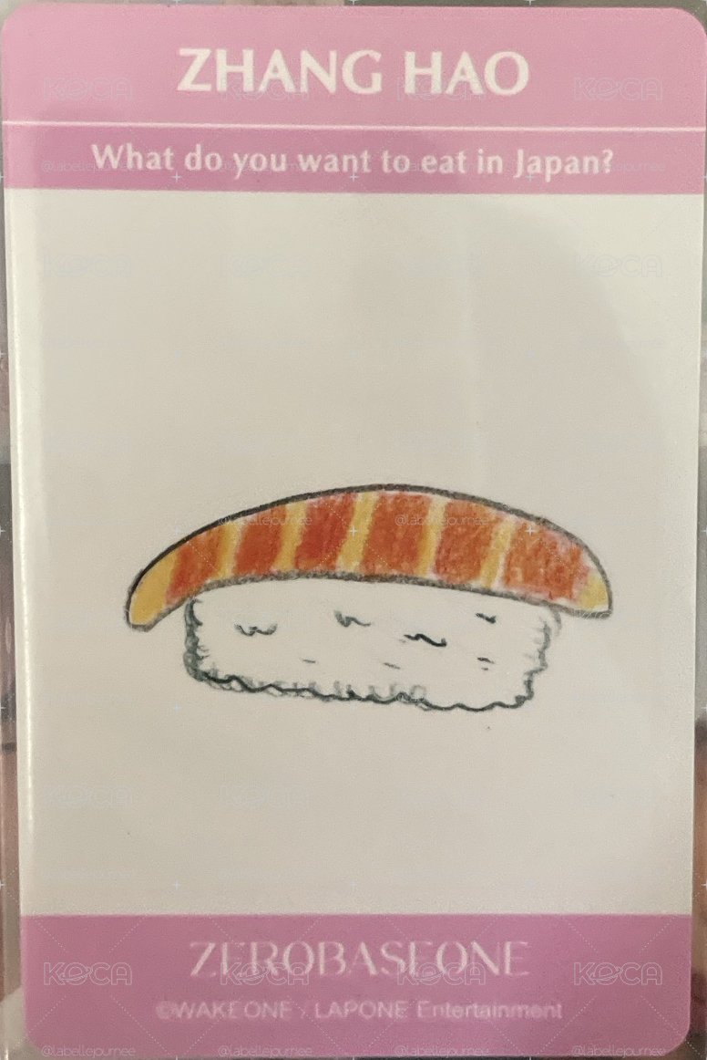 泰迪昊昊