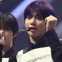 超蓬鬆吉娃娃👅👅