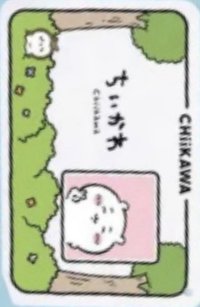 香港展覽 入場卡 / 場限卡 