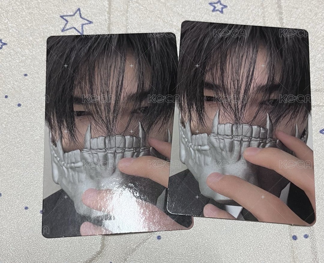 西村力wvs特典