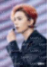 WTL日巡味之素電影 明信片組 