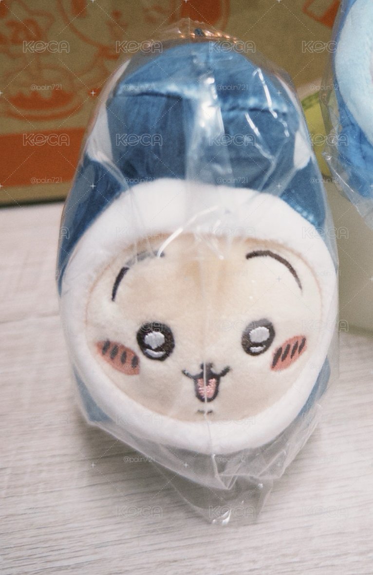 虎鯨 烏薩奇