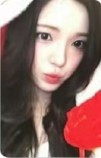 Focus MINIRECORD 2.0 幸運卡 