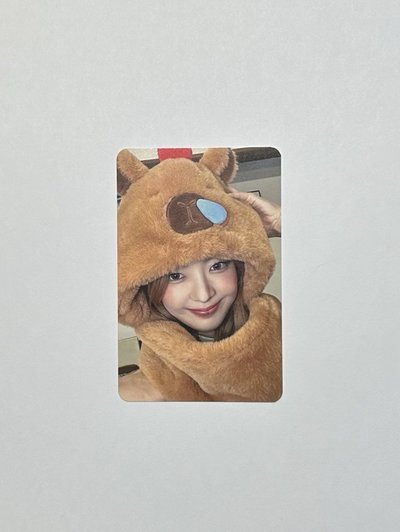 Gold ms卡皮中文卡背 粒