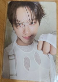 貓貓碰拳