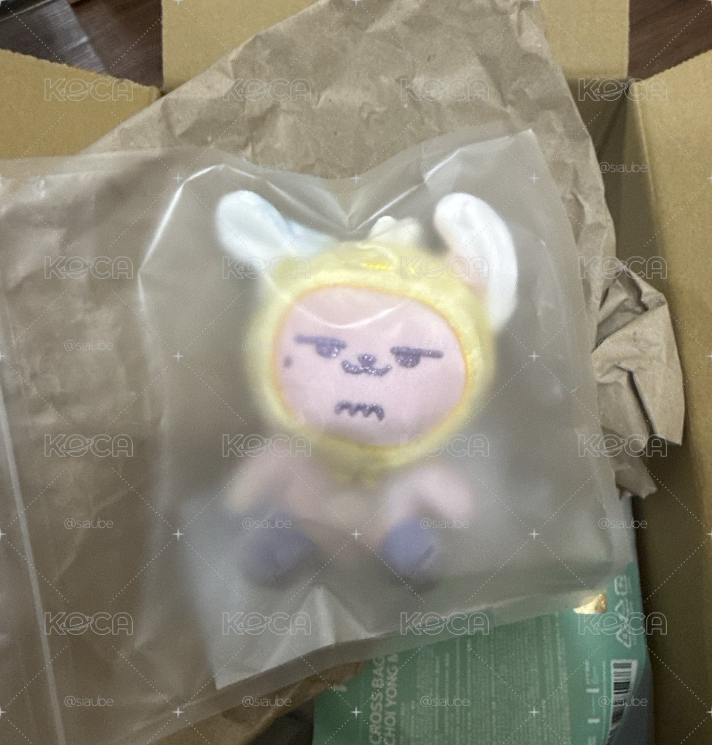 ✨全新彩春直出✨