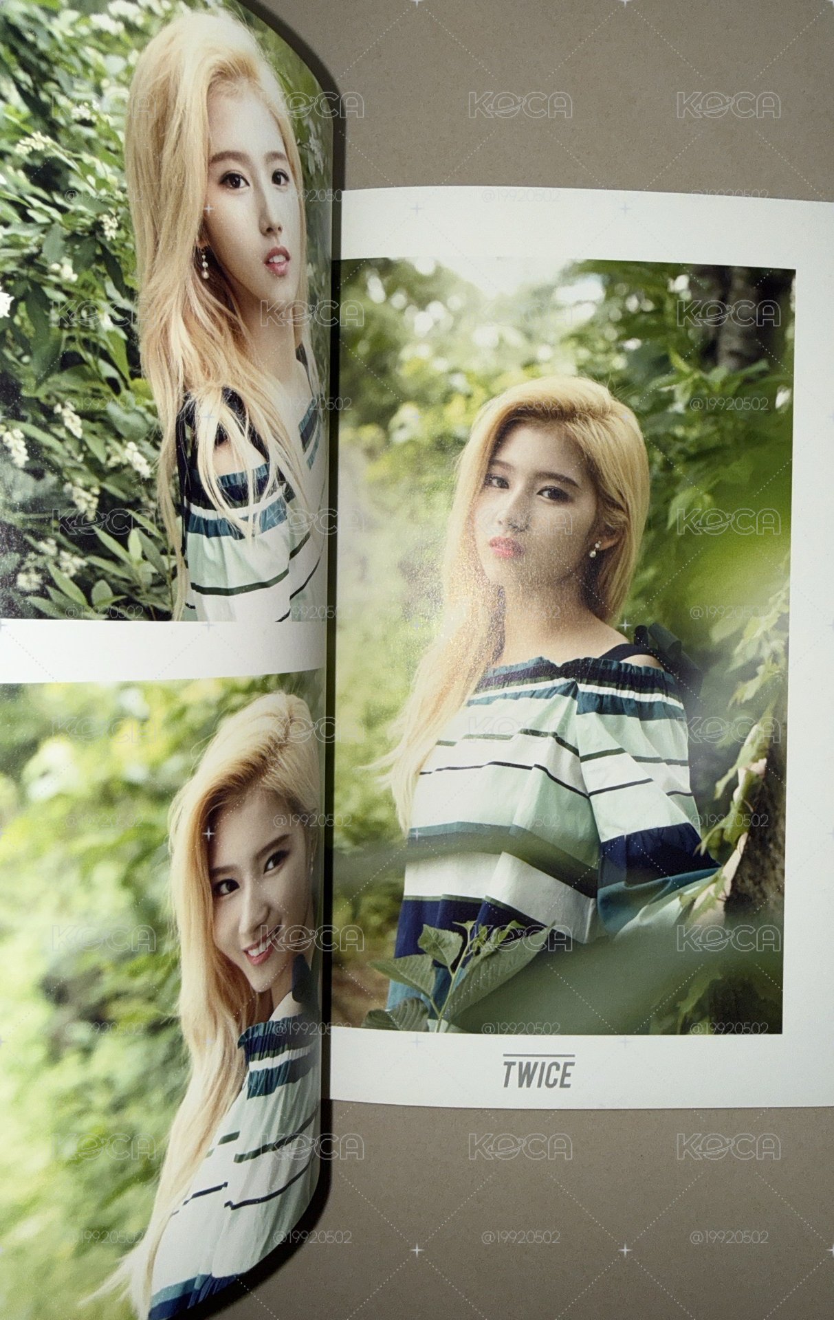 TWICE JYP NATION 2016寫真集