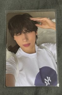 天使狗狗寧