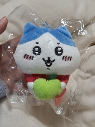 地區限定 蘋果小八🍎