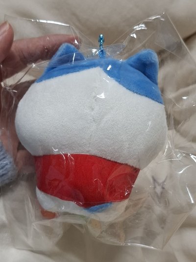 地區限定 蘋果小八🍎