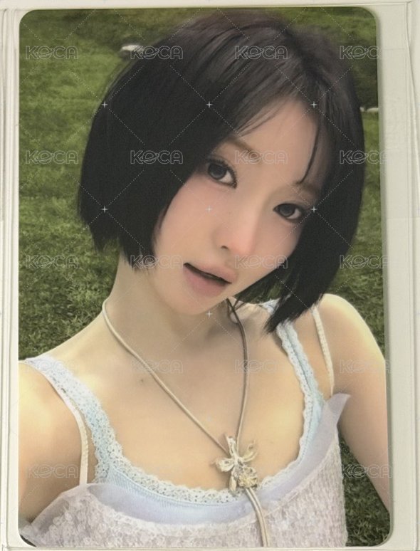 紗