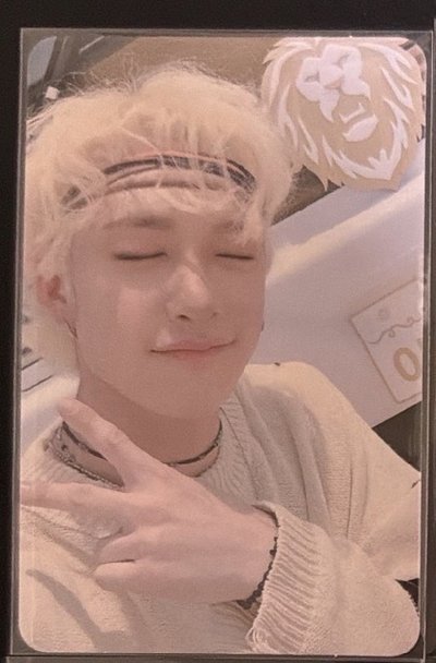 《Stray Kids》黃木白毛燦卡