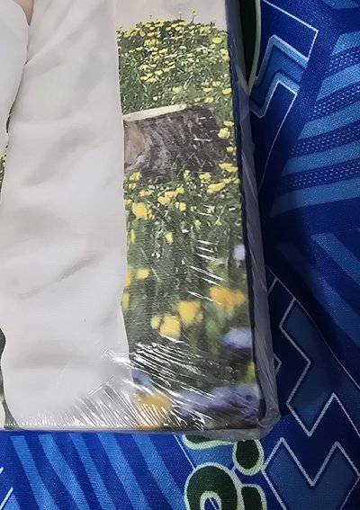 售嫄油畫 綁圖二