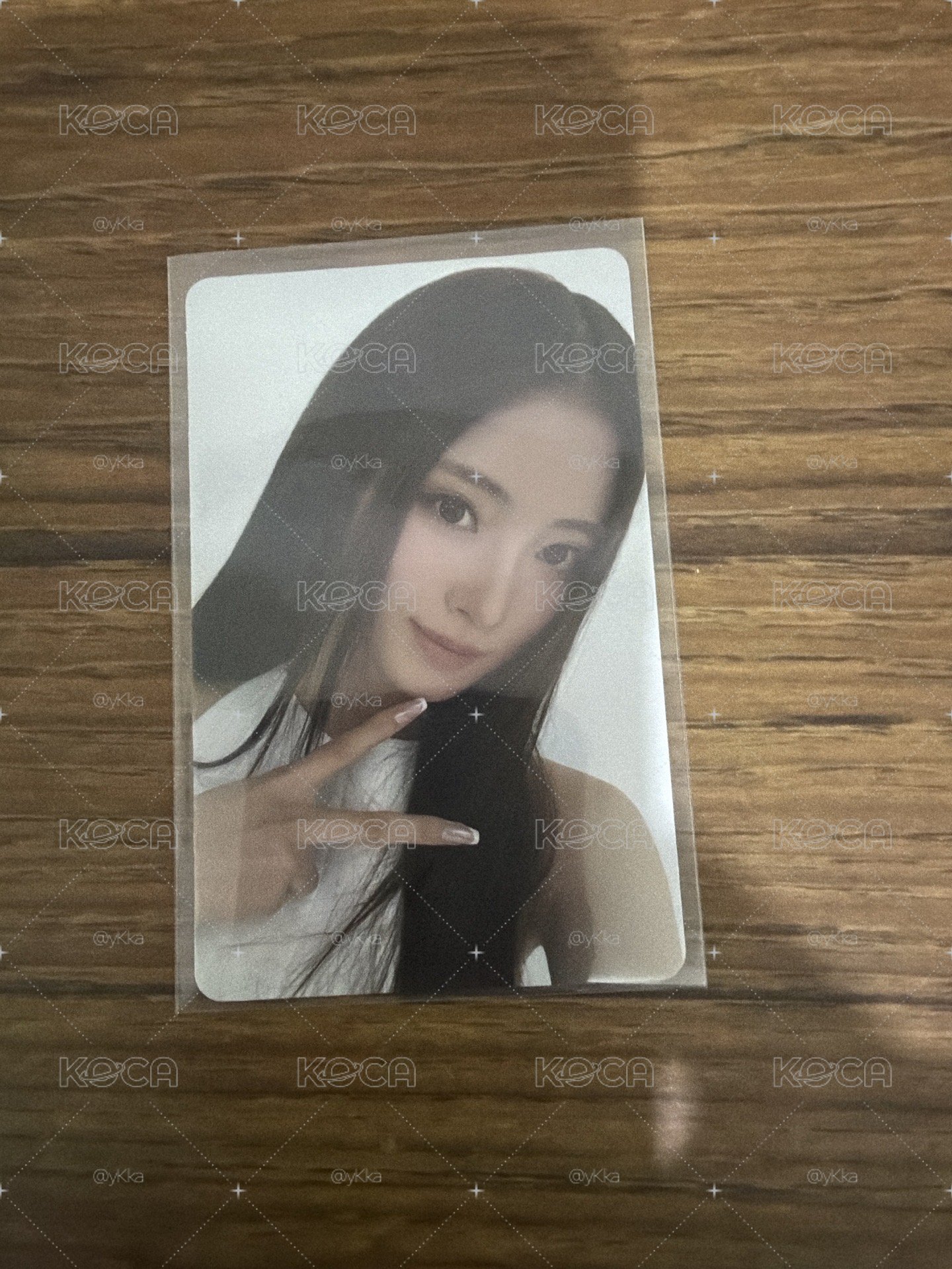 Anna 巴黎萊雅1.0